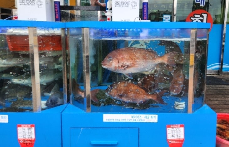 보배회수산 사진 3