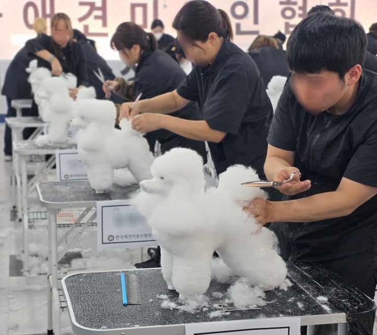  김해애견미용학원 자격증·창업비용 정리