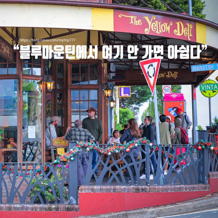  블루마운틴 카툼바 맛집 추천｜Yellow Deli 분위기·메뉴·가격 총정리 (다시 찾고 싶은 감성 레스토랑)