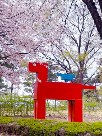  고양 일산 호수공원 벚꽃 사진, 자전거 대여