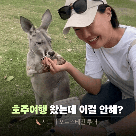  시드니여행 필수코스 포트스테판 투어 | 솔직 후기, 총정리 준비물