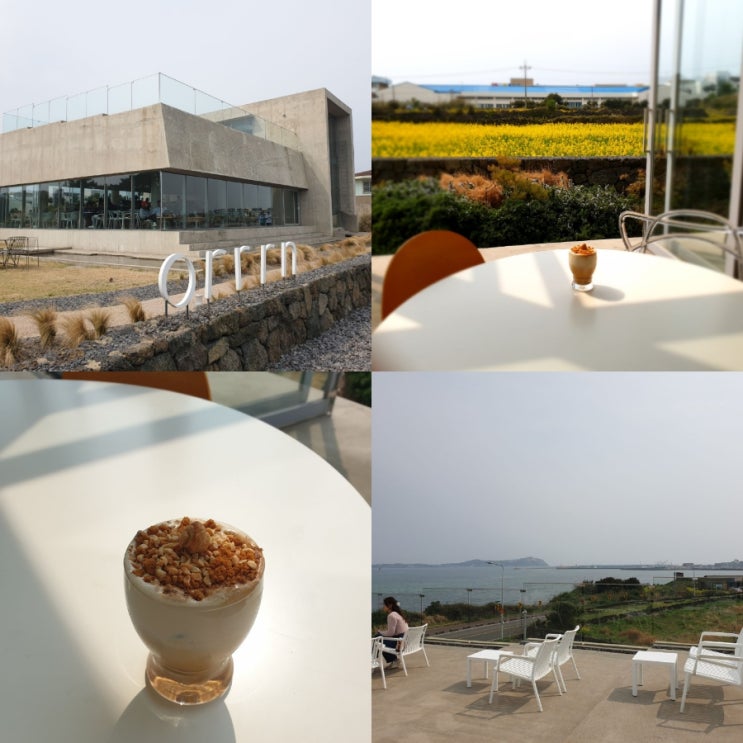  제주도 성산 카페 추천 오른 orrrn 유채꽃밭 데이트