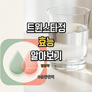 트윈스타정 40/5MG 40/10MG 80/5 가격 효능 주의사항