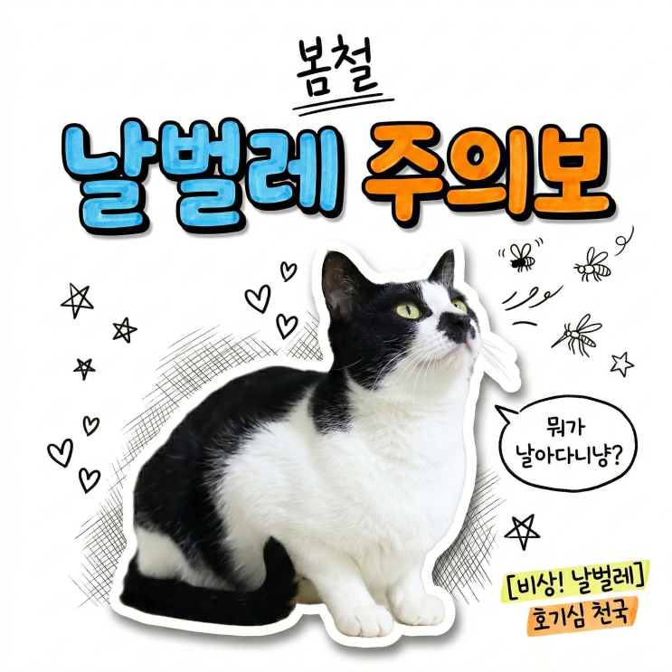  고양이 키우는 집 날파리 퇴치법! 에프킬라 퍼메트린 중독 증상과 천연 트랩 만들기