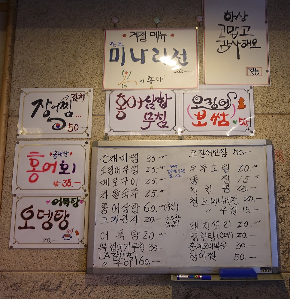 길손 사진 4
