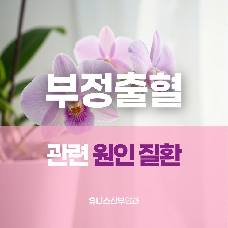  건대입구산부인과, 부정출혈 반복된다면 의심해야 할 자궁 질환