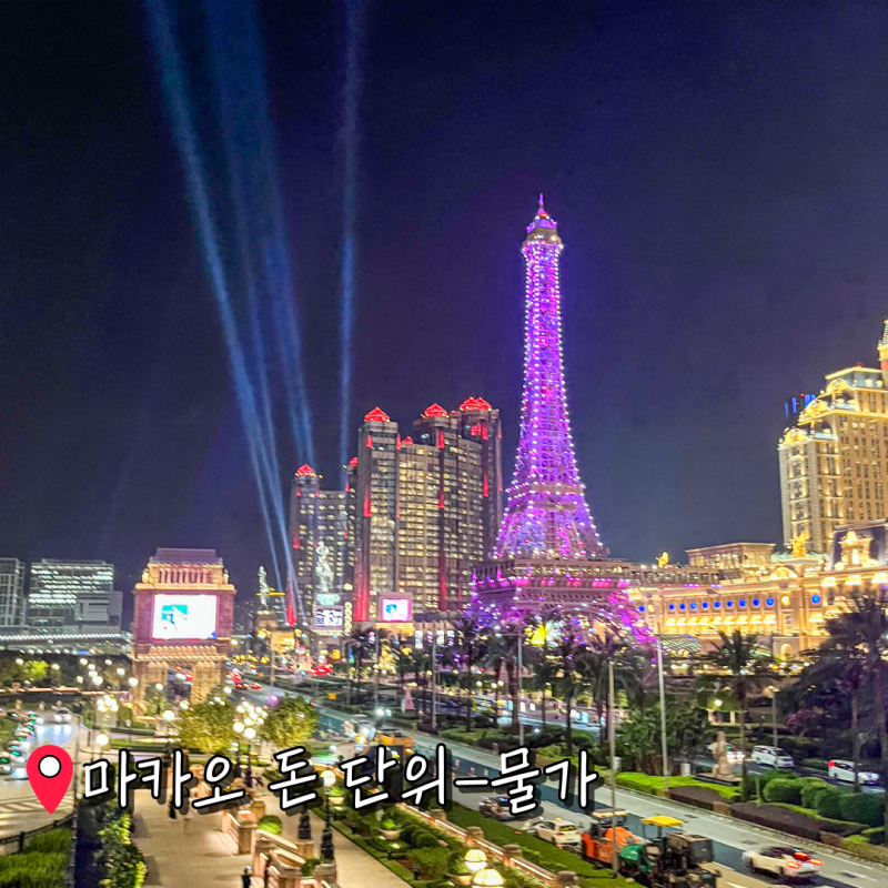마카오 화폐 종류 돈 단위 지폐 동전(현금 vs 카드 사용, 물가 환율은?)