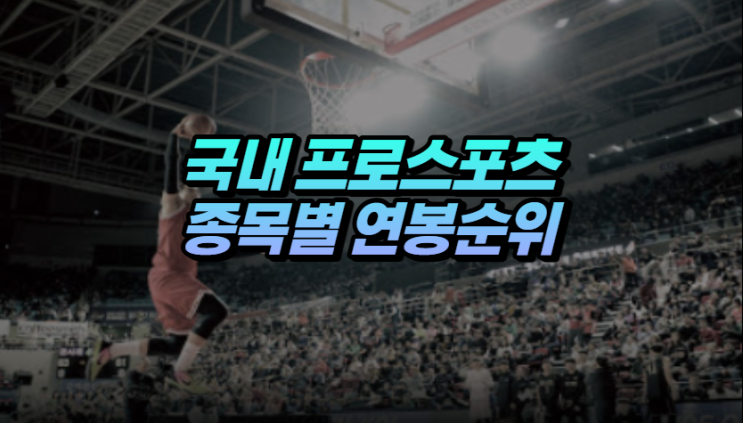  국내 프로 스포츠 리그 종목별 연봉 순위