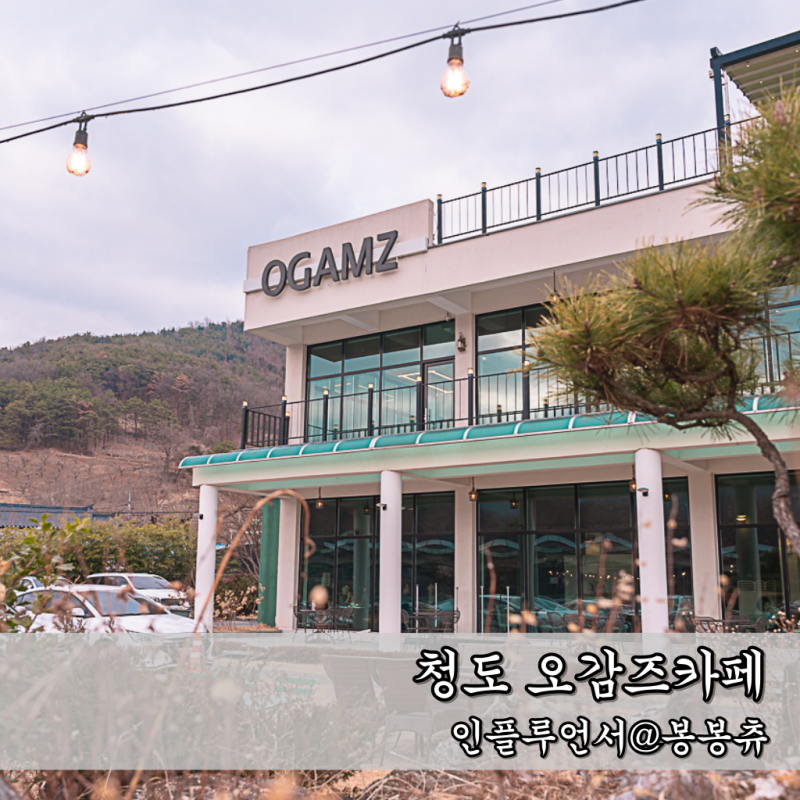 사진 7