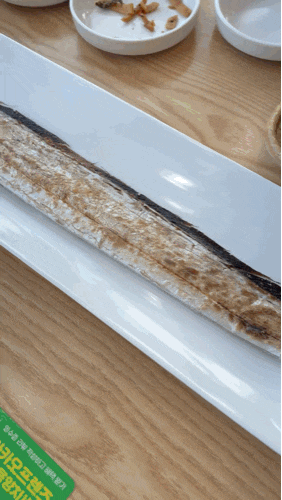  함덕맛집 애견동반 가능한 함덕고갈치 제주도 필수코스