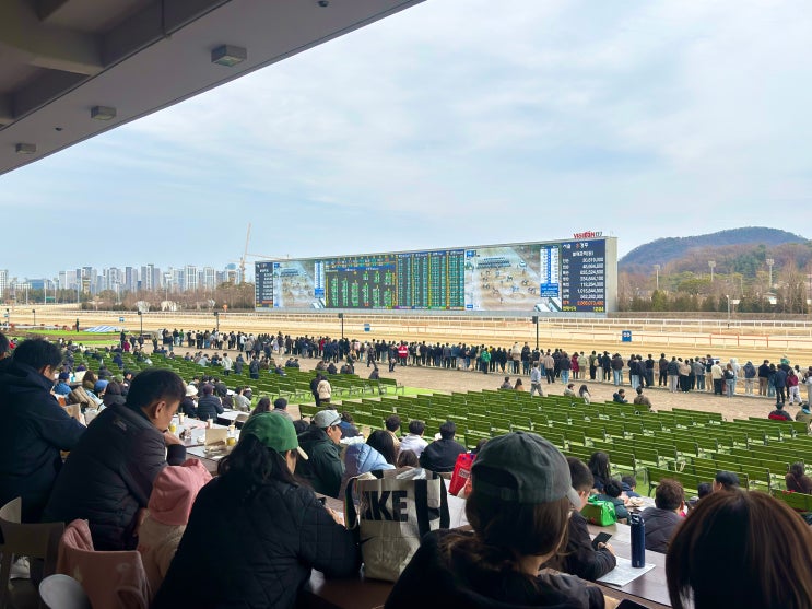  경마공원 입장권 무료 발권 배팅 어플 이용방법 더비온 가입 초보자 방문전필수 꿀팁