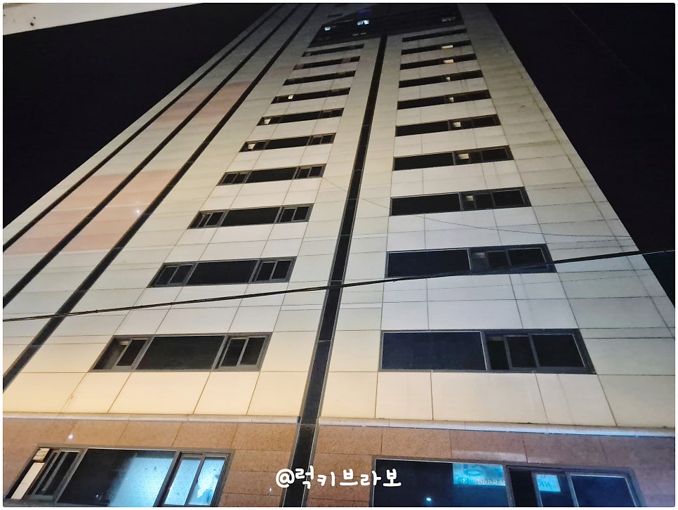 황금조개튼튼장어 사진 6