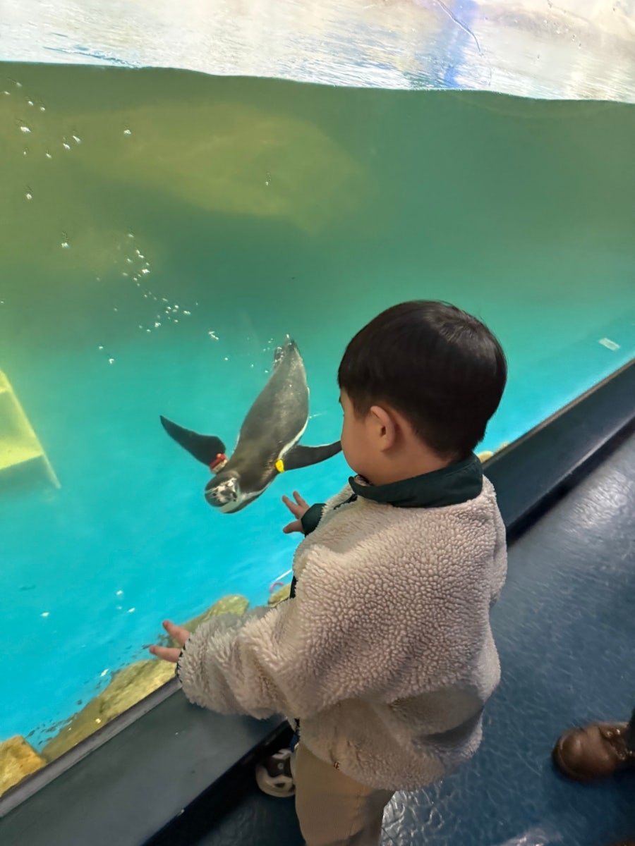 카페유디 사진 6