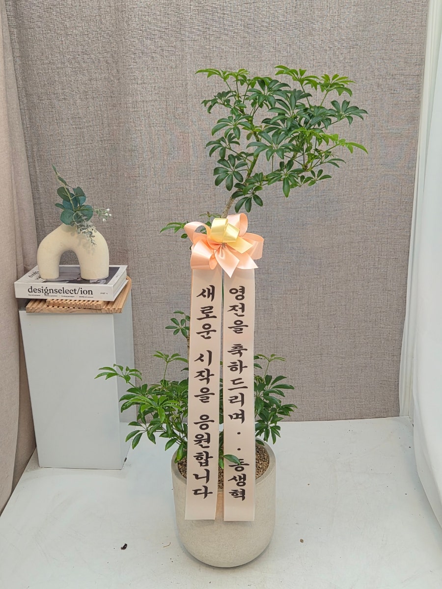 예향 사진 6