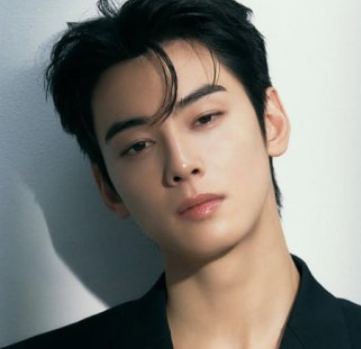  200억 탈세가 법안까지? 차은우 방지법 총정리