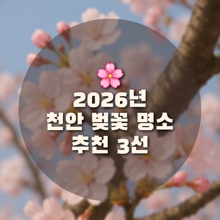  2026년 천안벚꽃 시내명소 추천 3선