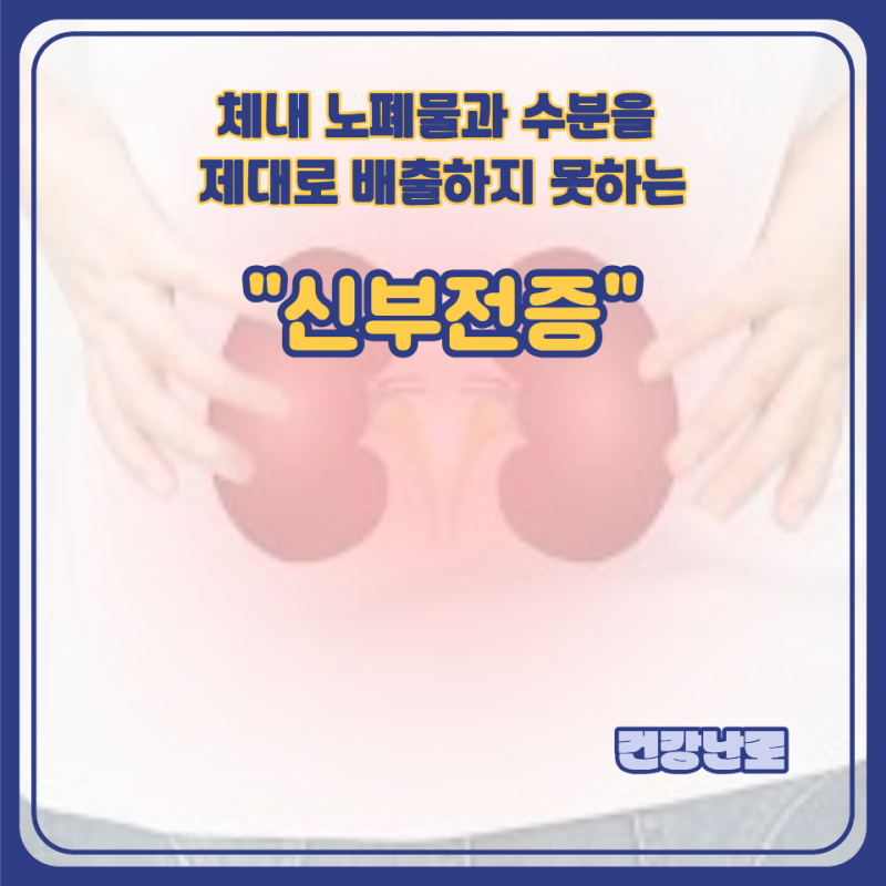 신부전증 원인, 증상, 급성과 만성 차이, 치료, 관리 방법