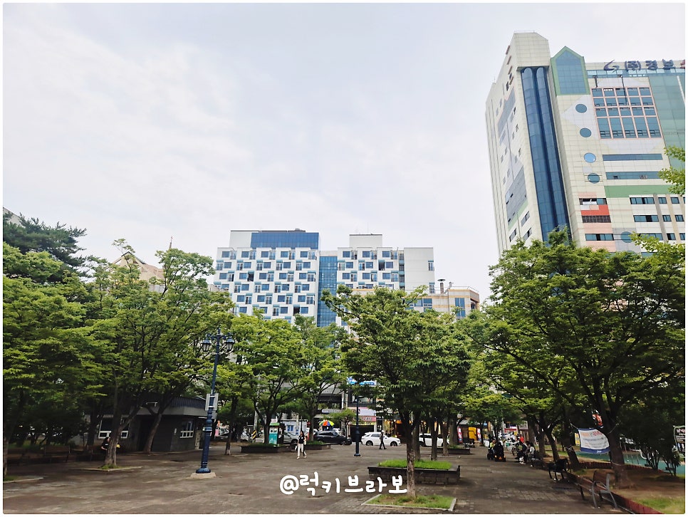 황금조개튼튼장어 사진 1