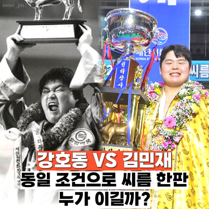 씨름선수 빅매치! 강호동 vs 김민재 한판 붙으면 누가 이길까?(체급 몸무게 커리어)