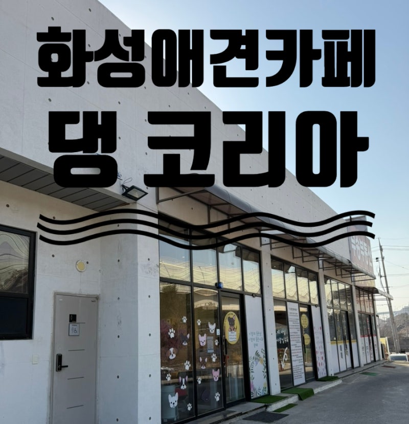 사진 8
