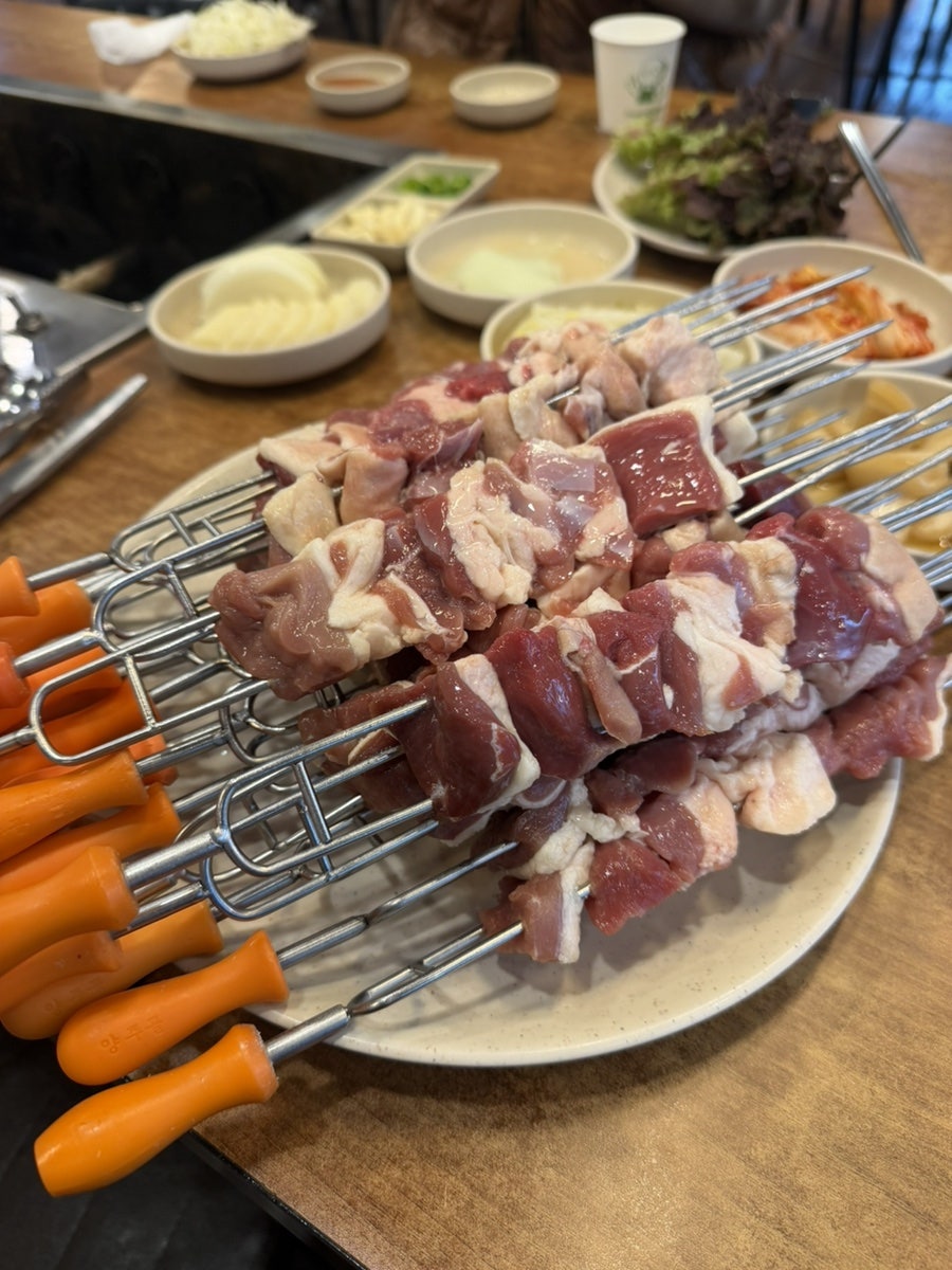 오리나라 사진 6