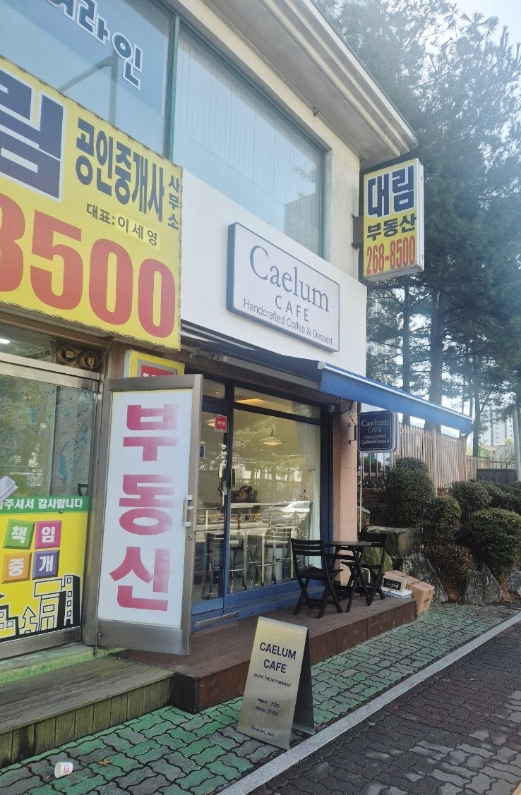 사진 2