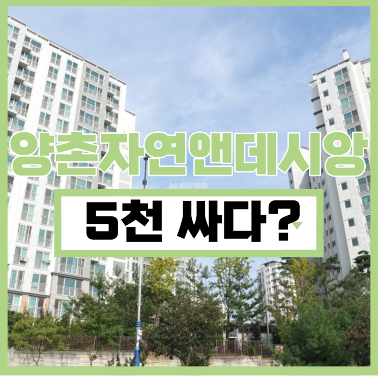  양촌자연앤데시앙 2억 대 경매 가능?