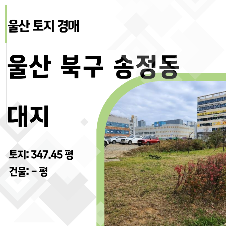  울산 송정지구 347평 대지 경매, 67억 감정가 대비 반값 하락! 투자가치는?