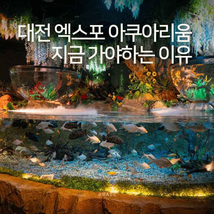  지금 대전 엑스포 아쿠아리움 가야하는 이유! 글로벌 ESG 해양환경 수중사진전 대전 아이와 실내 가볼만한곳