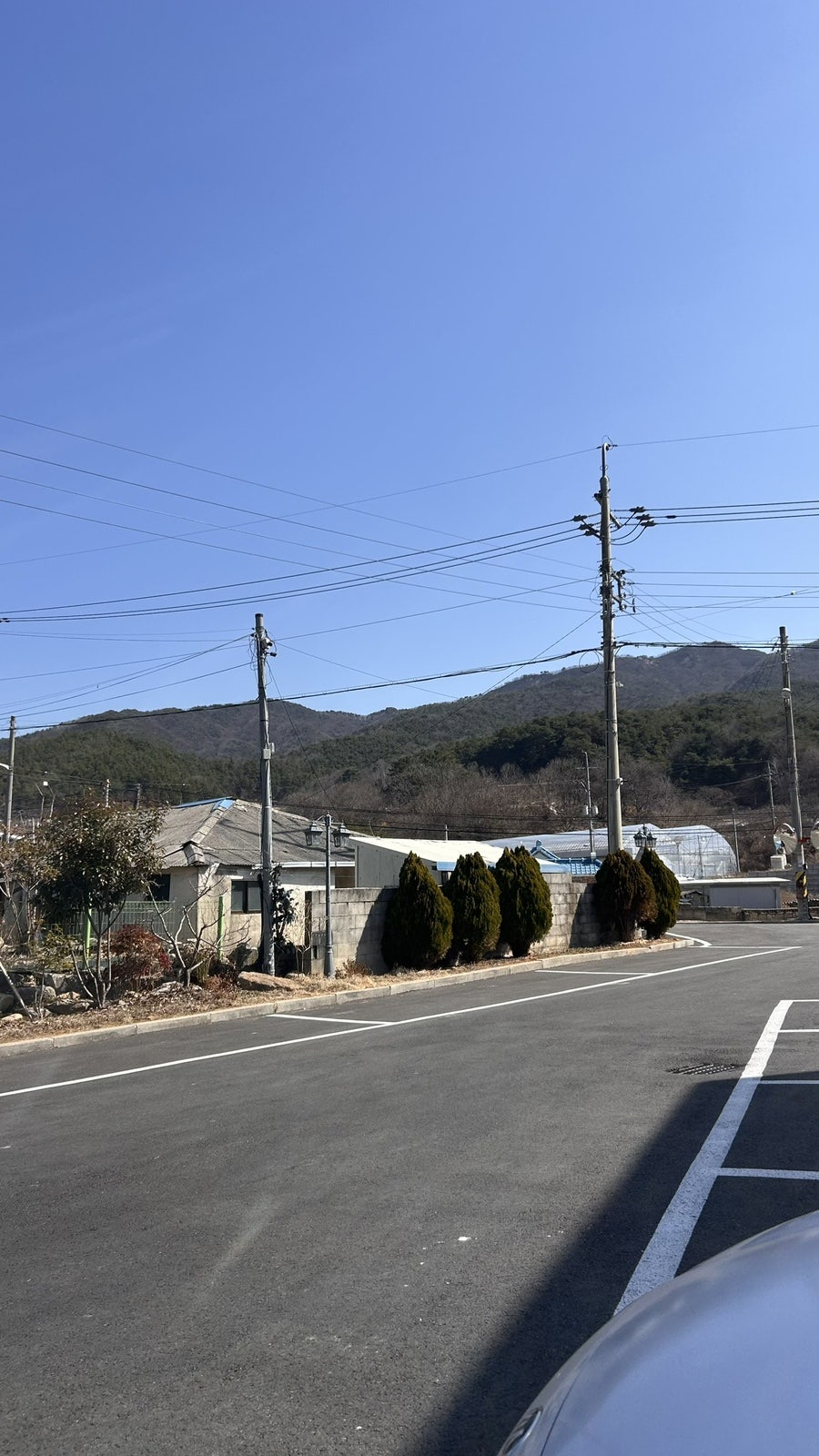 틸로 사진 4