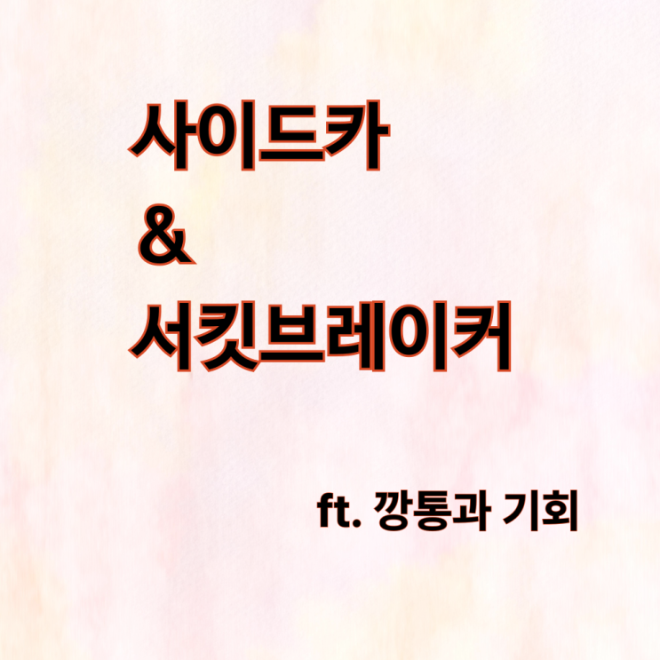  당신의 선택은? 한국주식의 서킷브레이커와 사이드카 깡통인가 기회인가