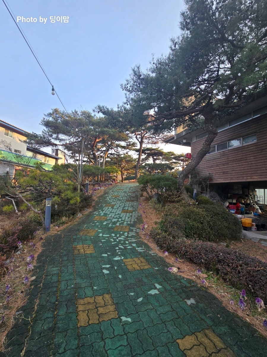 앞동산가든 사진 4