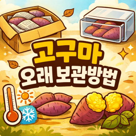  고구마 보관방법 실온 냉장 차이와 오래 두고 먹는 보관 팁 정리