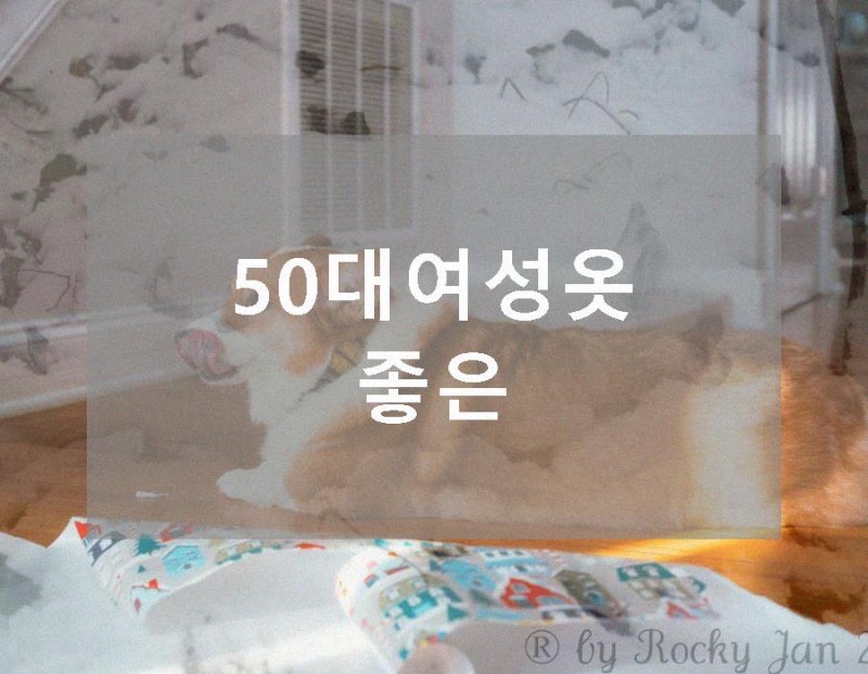 50대여성옷 좋은 스타일의 니트 브랜드