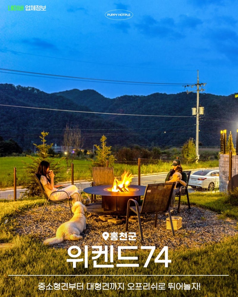 사진 3