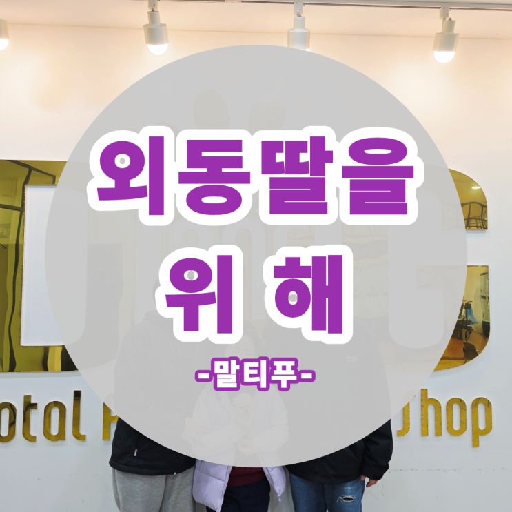  세종 말티푸 분양 후기 입소 하루만에 새 가족 만난 크림빛 공주님 코코 이야기