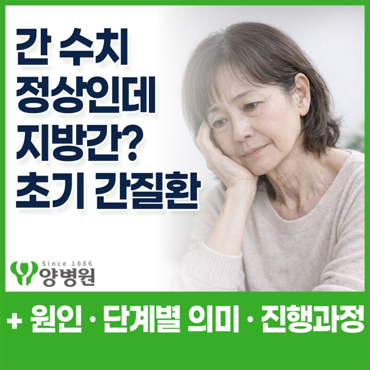  간수치 정상인데 지방간? 건강검진 초음파에서 발견되는 초기 간질환과 이유와 원인 진행과정 정리
