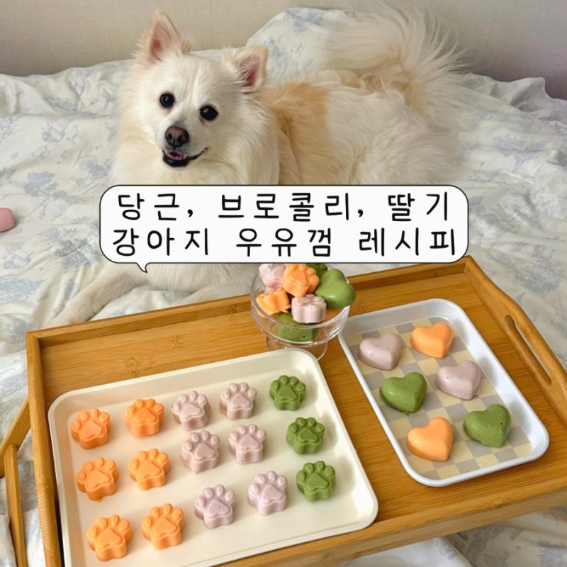 [강아지 우유껌 만들기 레시피] 당근 우유껌, 딸기 우유껌, 브로콜리 우유껌