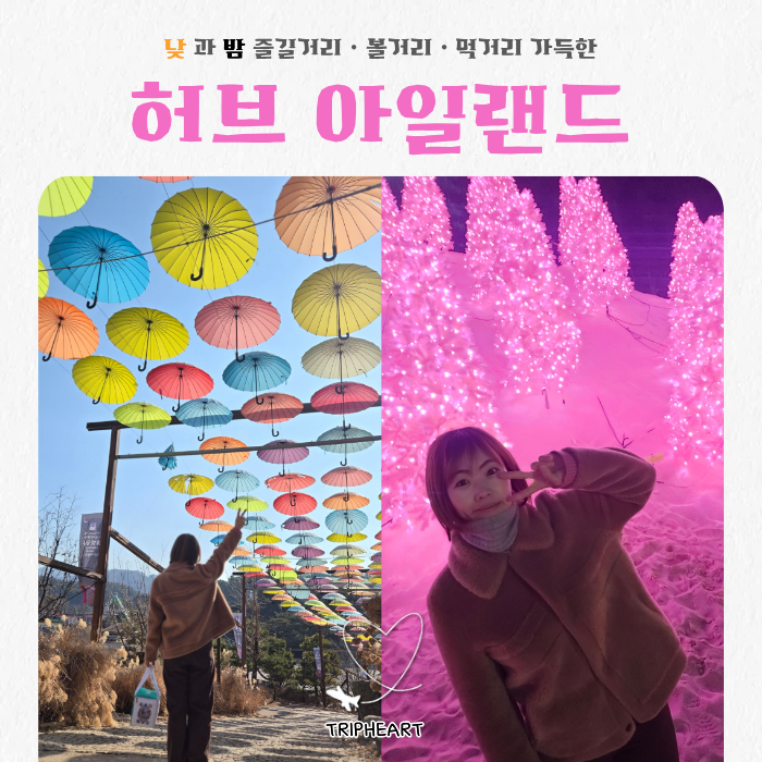 포천 허브아일랜드 낮&밤 완벽 후기 | 불빛축제·핑크모래·입장료 총정리