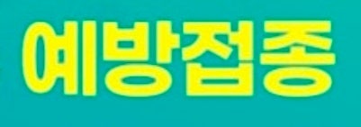  "필수 예방접종 20가지 완벽 정리! 영유아부터 성인까지 완벽 가이드"