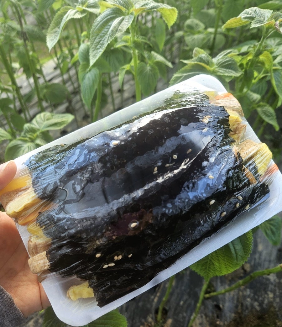 자연꼬마김밥 사진 5