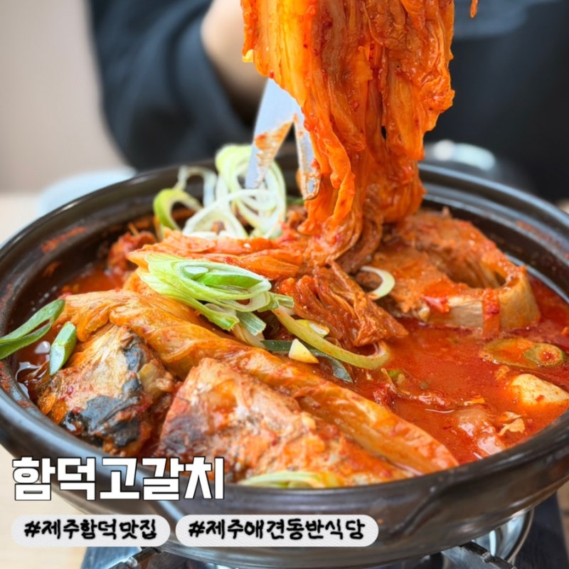 [제주] 함덕 현지인 맛집 | 함덕고갈치 : 제주애견동반식당 추천