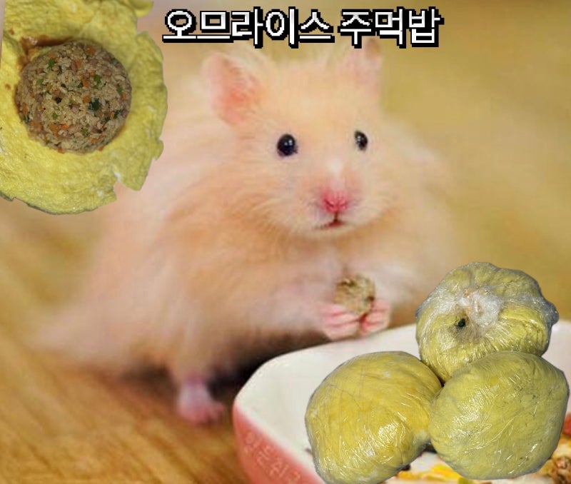 주먹밥 밀프랩 만들기 오므라이스 주먹밥 냉동 보관 아침메뉴 추천