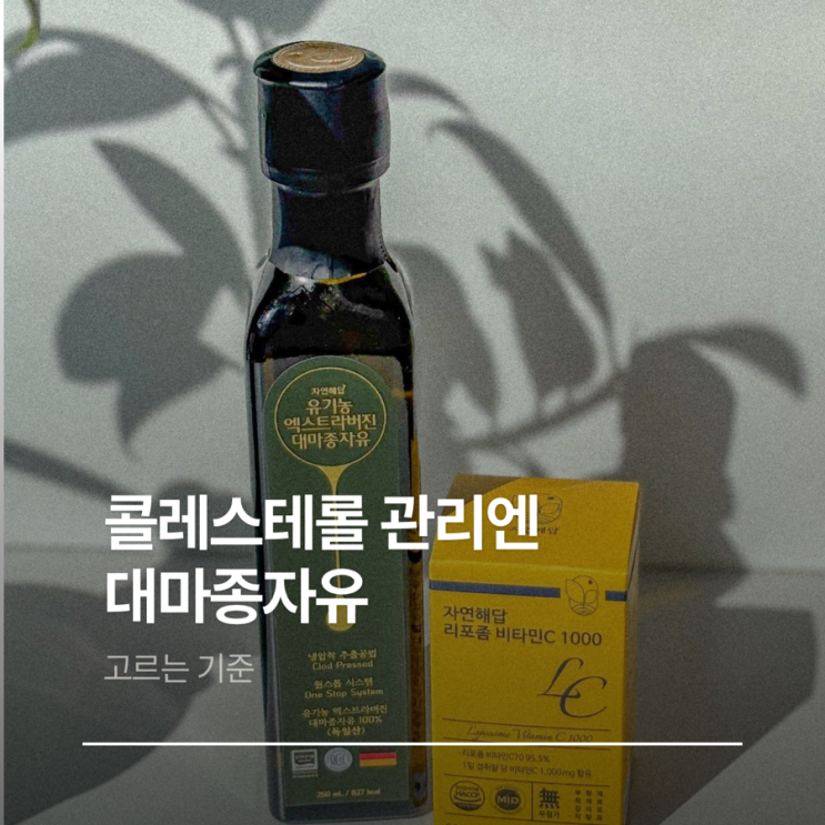  대마씨유 대마종자유 효능과 복용법 콜레스테롤 관리 식단에 넣는 이유