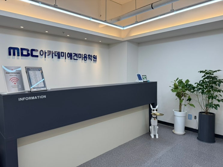  인천 부평애견미용학원 비용 MBC애견미용학원 후기, 선택 이유