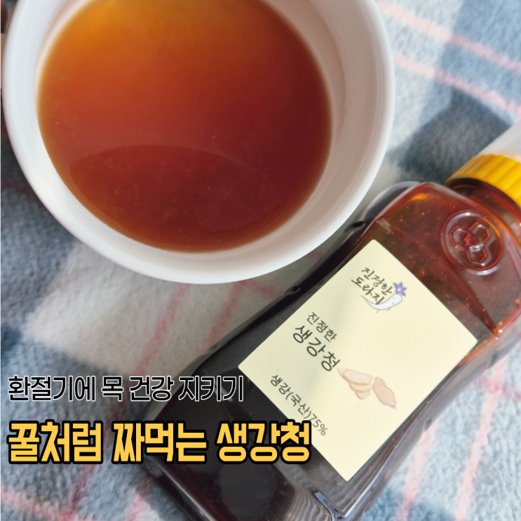 환절기에 목칼칼할때 몸데워주는 진정한도라지 짜먹는 생강청 후기