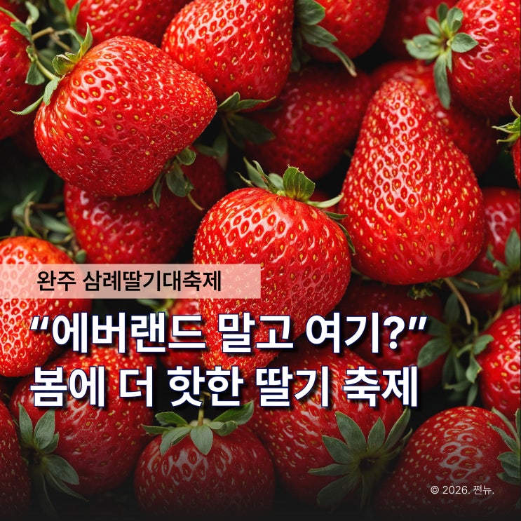  "이번 주말 여기로 몰린대요" 완주삼례딸기대축제, 주차는 이렇게 해결하세요
