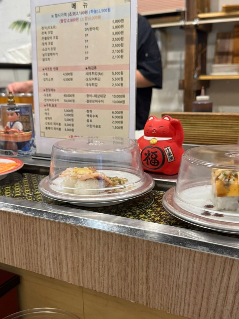 식사동 회전초밥 맛집 사쿠라스시