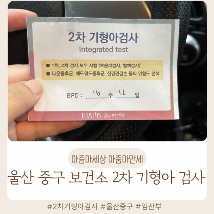  울산 중구 보건소 2차 기형아 검사 준비물·비용·주차 후기