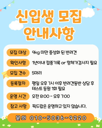 사진 2